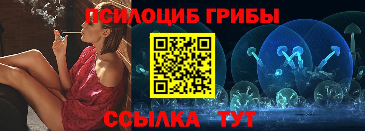 Гатчина  Псилоцибиновые грибы Psilocybine cubensis  Вход с VPN 