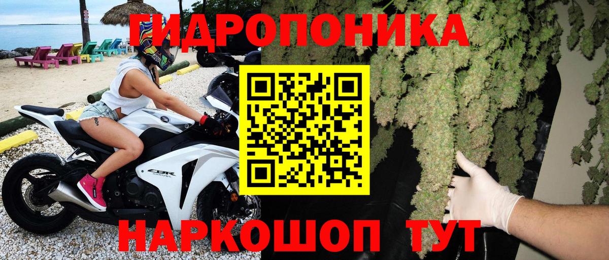 Каннабис White Widow  МАРИХУАНА LSD WEED  Вход с VPN  Гатчина 